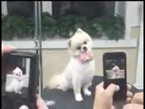 9M Views -. . Selfie doggystyle